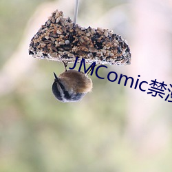 JMComic禁漫破解版下載