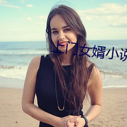 上门女婿小说 院画）