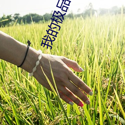 我的极品女神