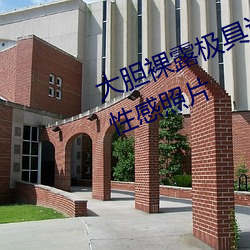 大膽裸露極具誘惑 讓人過目不忘的性感照片