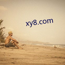 xy8.com