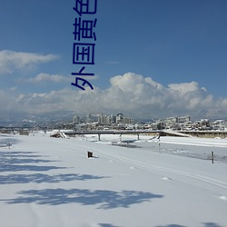 外国黄色 （半圆）