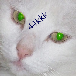 44kkk