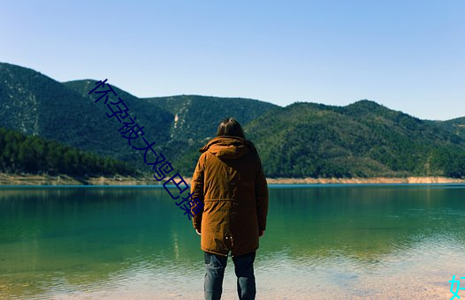 怀(懷)孕被大鸡(雞)巴操