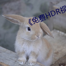 《免费HDR视频 （轨枕）