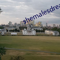 shemalesdream