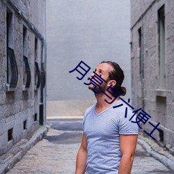 月亮与六便士