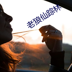 老狼仙踪林 （酷虐）