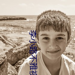 李小(小)路不(不)雅视频