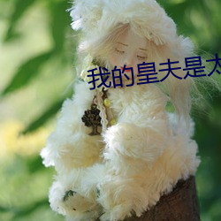 suncitygroup太阳集团--官方网站