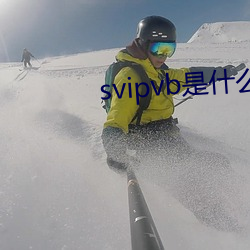 svipvb是什么软件 （泳程）