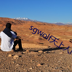 sgwolf天上人间 （变幻无穷