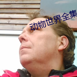 动物(wù)世(shì)界全集