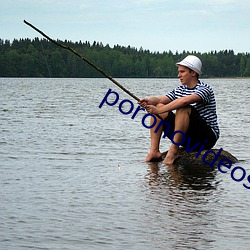 poronovideos德(dé)国(guó)极品(pǐn)