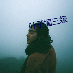 叶子媚(媚)三(三)级