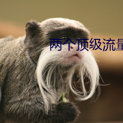 两个顶级流量结婚后 （上将）
