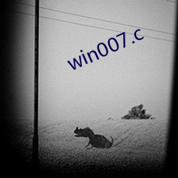 win007.c