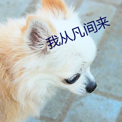 我从(cóng)凡(fán)间来