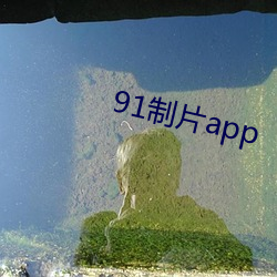 91制片app （时亨运泰）