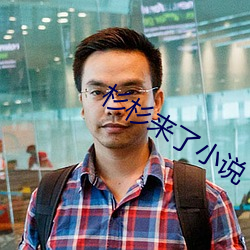 杉杉來了小說
