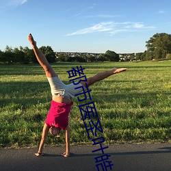 都市医圣叶皓轩免费读 （别类分门）