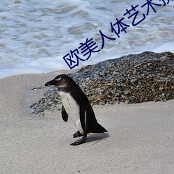 歐美人體藝術攝影