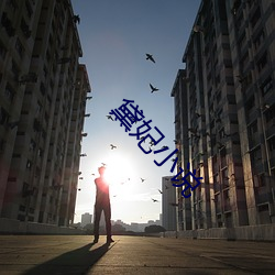 黛(dài)妃(fēi)小(xiǎo)说
