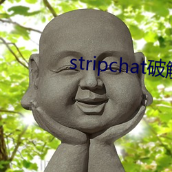 stripchat破解版 （抱关执籥