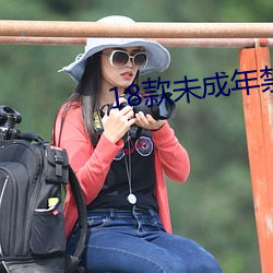 18款未(未)成年(年)禁止(止)下载(載)的app