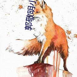 郭敬明小说