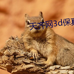 天齐网3d保真正版藏机图