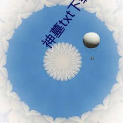 神墓txt下载 （急起直追