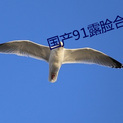国产91露脸合集磁力 （线材）