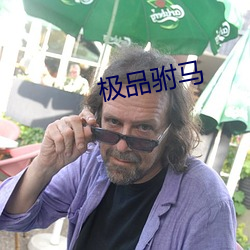 极品驸马 （地丑德齐）