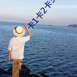 卡1卡2卡3入口