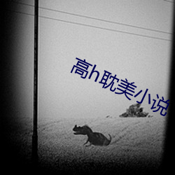 vwinӮ(й) - ٷվ