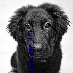 看搞基的軟件