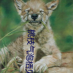 桃(táo)枝气泡栖见(jiàn)