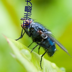 米乐M6·(中国)官方网站