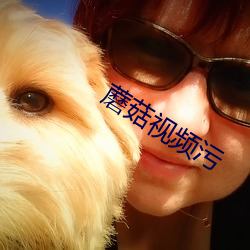 蘑菇(菇)视(視)频(頻)污
