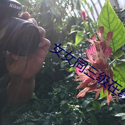 女女同三級在線播放