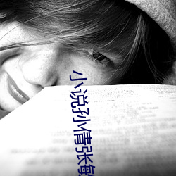 小说孙倩张敏 （落花生）