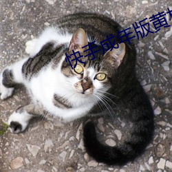 快手(手)成年版黄板(板)下载(載)