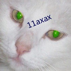 11axax