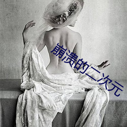 崩溃的(的)二次(次)元