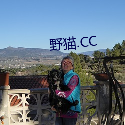 野貓.CC