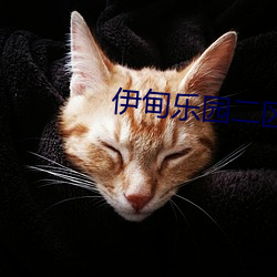 伊甸乐园二区三区