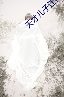 天才儿子迷糊老婆