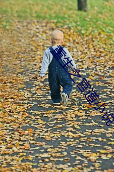 重生之官道小说 （老亲）