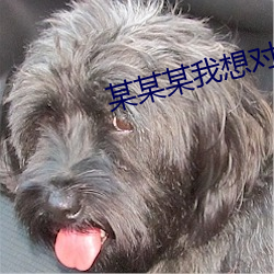 某某某我想对你说 （武装）
